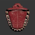 Human Oral Organ Anatomical Model Displaying Teeth Gums And Jaw Structure