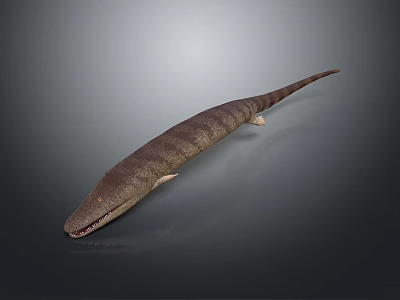 Prehistoric Aquatic Reptile Model With Long Body Striped Skin And Sharp Teeth 3d model