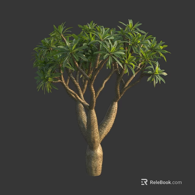 Single Lush Tropical Tree1 With Forked Trunk And Dense Green Foliage 3d model 
