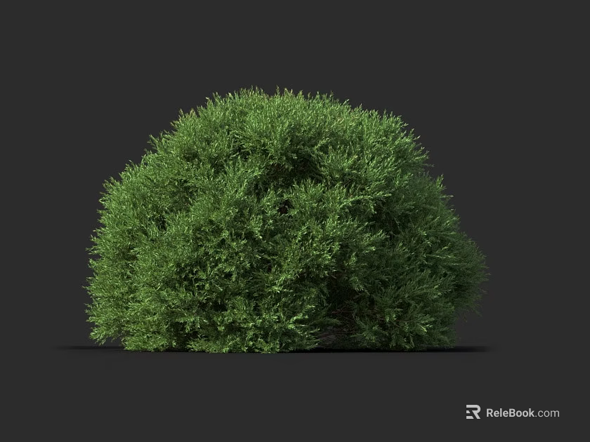 Lush Green Round Bush with Dense Foliage Isolated on Dark Background 3d model 