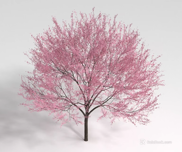 Beautiful Pink Flowering Shrub with Dark Trunk Isolated on White Background 3d model 
