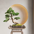 Bonsai Plant with Curved Trunk in Square Tray on Small Stool Round Yellow Light Background