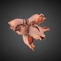Dried Hazelnut Shell With Split Sections And Natural Brown Texture 3d model
