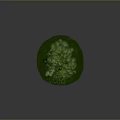 Jungle Adventurer Character Amidst Lush Tropical Plants And Green Grass Terrain
