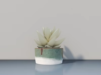 Elegant Succulent Bonsai Plant in Green and White Ceramic Pot on Smooth Surface 3d model