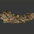 Diverse Green Plants Miniature Landscape With Small Stones And Decorative Ornaments