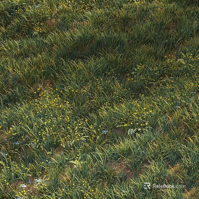 Lush Garden Ornamental Feature With Green Herbaceous Plants Yellow Flowers And Blue Blooms 3d model 