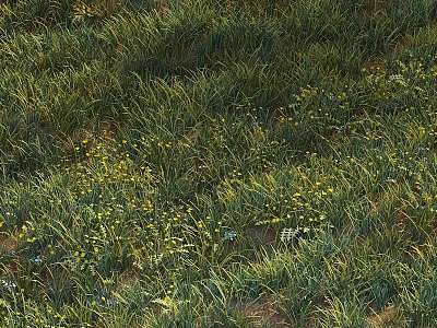 Lush Garden Ornamental Feature With Green Herbaceous Plants Yellow Flowers And Blue Blooms 3d model