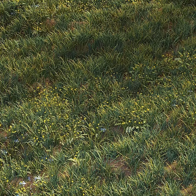 Lush Garden Ornamental Feature With Green Herbaceous Plants Yellow Flowers And Blue Blooms 3d model
