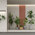 Modern Indoor Potted Plants Display With Various Greenery Different Planter Styles And Decorative Wall