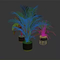 Green Plants with Different Leaf Shapes in Multiple Brown and Transparent Pots Against Dark Background