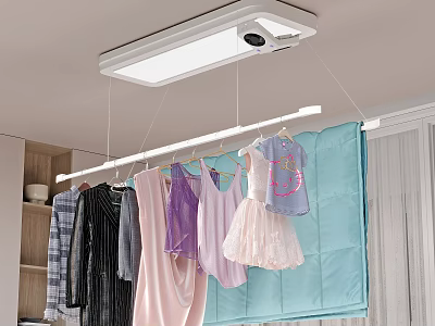 Ceiling Mounted Electric Clothes Hanger With Lighting For Hanging Clothes 3d model