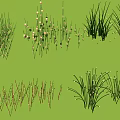 Decorative Outdoor Lights For Garden Lawn Grass And Green Plants Illumination