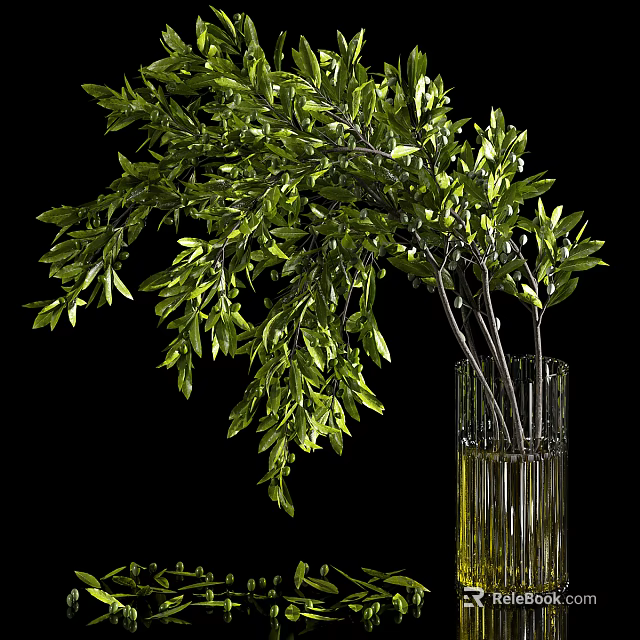 Clear Glass Vase With Hanging Green Leafy Branches On Black Background 3d model 