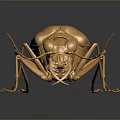 Detailed Golden Beetle on Dark Smooth Surface with Shiny Reflection 3d model