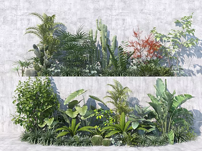 Lush Tropical Greenery Display With Diverse Assorted Plants And Foliage 3d model