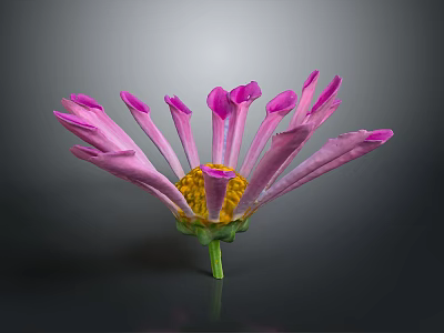 Pink Flower With Vibrant Petals Yellow Center And Green Stem On Dark Background 3d model