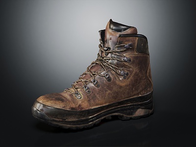 Modern Boots Mountaineering Shoes 3d model