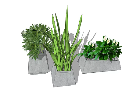Decorative Bonsai Potted Plants in Concrete Pots with Various Leaf Types and White Flowers 3d model