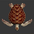 Colorful Sea Turtle With Red Purple Patterned Shell And Spotted Flippers On Black Background