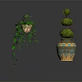 Hanging Vine Plant With Green Leaves And Three Tiered Spherical Topiary In Patterned Ceramic Pot