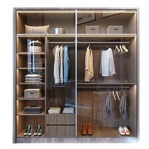 Simple brown glass sliding door wardrobe 3d model