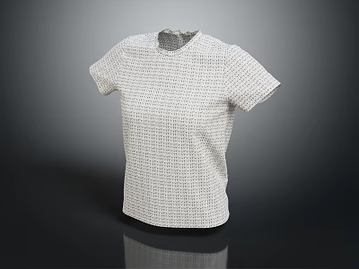 White Short Sleeve Round Neck T-shirt With Grid Pattern For Casual Fashion Wear 3d model