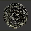 Pinecone With Metallic Texture And Detailed Scales Natural Plant Structure Isolated On Dark Background