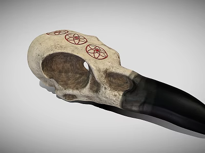Detailed Bird Skull With Red Pentagram Patterns And Black Beak On Neutral Background 3d model
