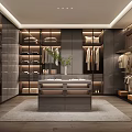 Modern Walk-in Closet Interior Design With Open Shelves Hanging Rods And Storage Cabinets