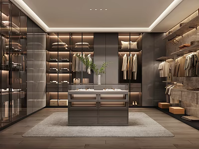 Modern Walk-in Closet Interior Design With Open Shelves Hanging Rods And Storage Cabinets 3d model