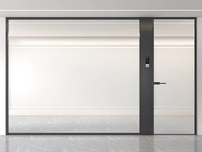 Modern Glass Room Divider With Black Frame Sliding Door Interior Design 3d model
