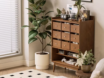 Interior Entryway Side Cabinet With Drawers Shelf Decorative Items And Potted Plant Near Window 3d model