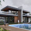 Modern Luxury Villa Homestay with Double-deck Flat Top with Pool 3d model