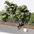 Outdoor Landscape Seating With Lush Green Plants Palm Trees Round Lights and Gravel Ground
