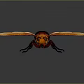 Realistic Wasp With Orange Wings Red Body And Black Abdomen Detailed Closeup