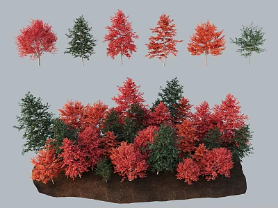 Vibrant Arbor Trees With Red And Green Foliage For Lush Landscape Design 3d model