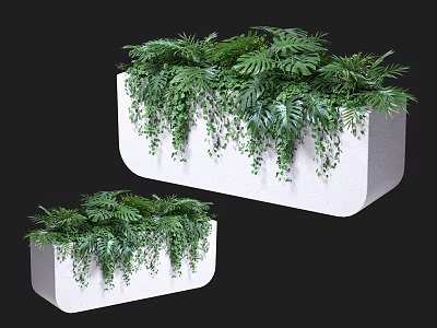 Lush Green Potted Plants in Two White Rectangular Planters with Hanging Leaves for Home Decor 3d model