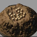 Reptile Parent Guarding Eggs in Natural Brown Earth Nest with Round Shells