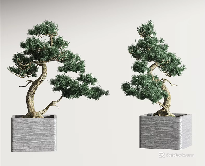 Bonsai Tree with Artistic Curved Trunk in Square Gray Pot and Lush Green Foliage 3d model 