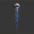 Blue and Purple Jellyfish with Long Tentacles on Dark Background Showing Reflection