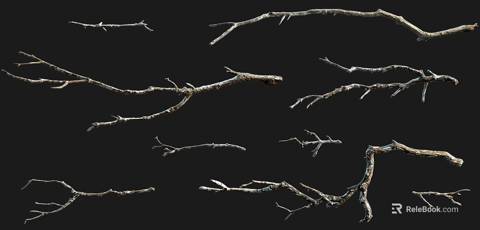 Dry Tree Branches with Various Shapes Isolated on Black Background 3d model 