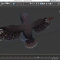 Owl With Spread Wings And Red Eyes Against Black Background