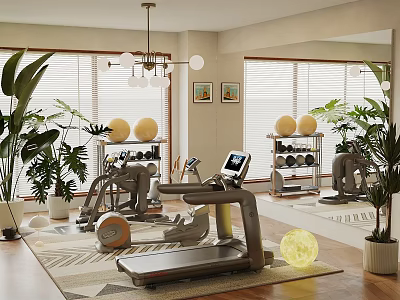 Modern Home Fitness Equipment With Treadmill Dumbbells Fitness Balls Mirrors And Green Plants 3d model