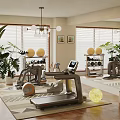 Modern Home Fitness Equipment With Treadmill Dumbbells Fitness Balls Mirrors And Green Plants