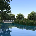 Serene Natural Landscape With Calm Reflective Lake Lush Green Trees And Bright Blue Sky
