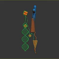 Organ And Hair Growth Related To DNA Double Helix Chromosome Molecules