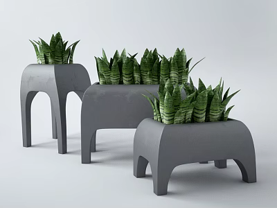 Potted Succulent Plants In Stylish Modern Gray Planters With Green Foliage 3d model