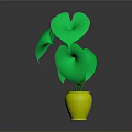 Green Leafy Plant in Yellow Vase with Gray Background and Lush Foliage