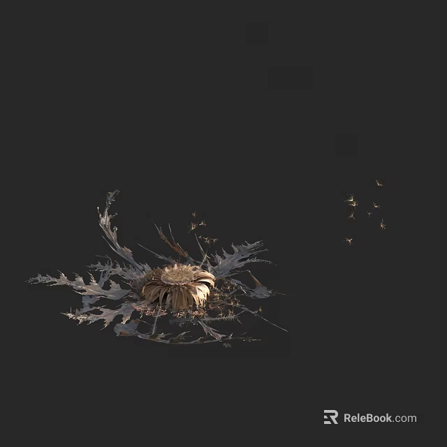 Unique Silver Foliage Plant With Yellow Center And Small Insects On Dark Background 3d model 